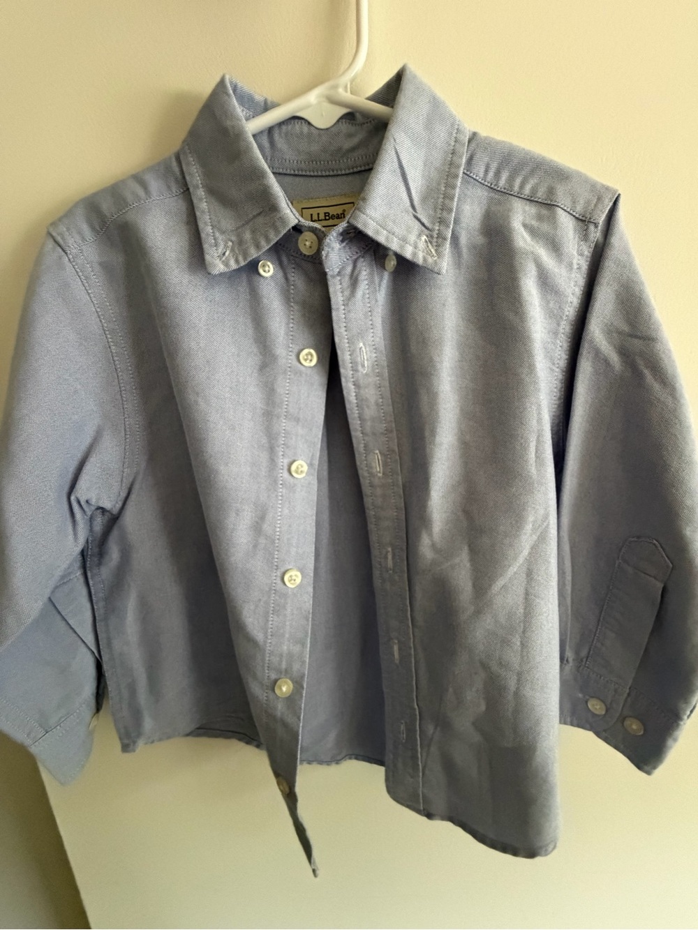 L.L. Bean Boys' Pale Blue Button-Down Shirt